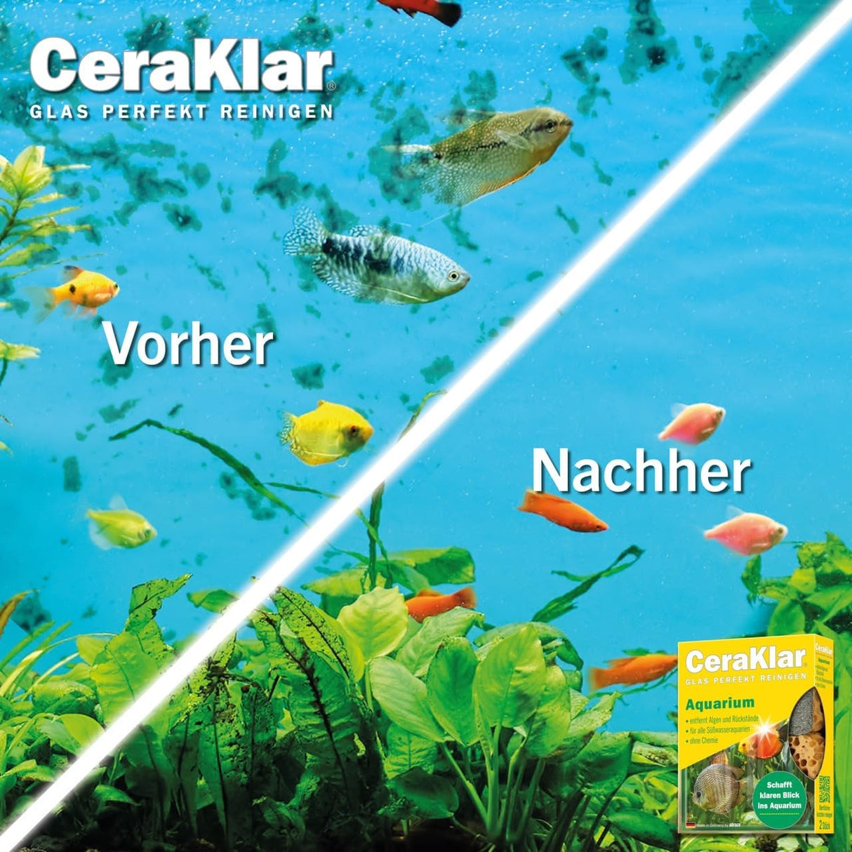 abrazo CeraKlar Aquarium Schwamm