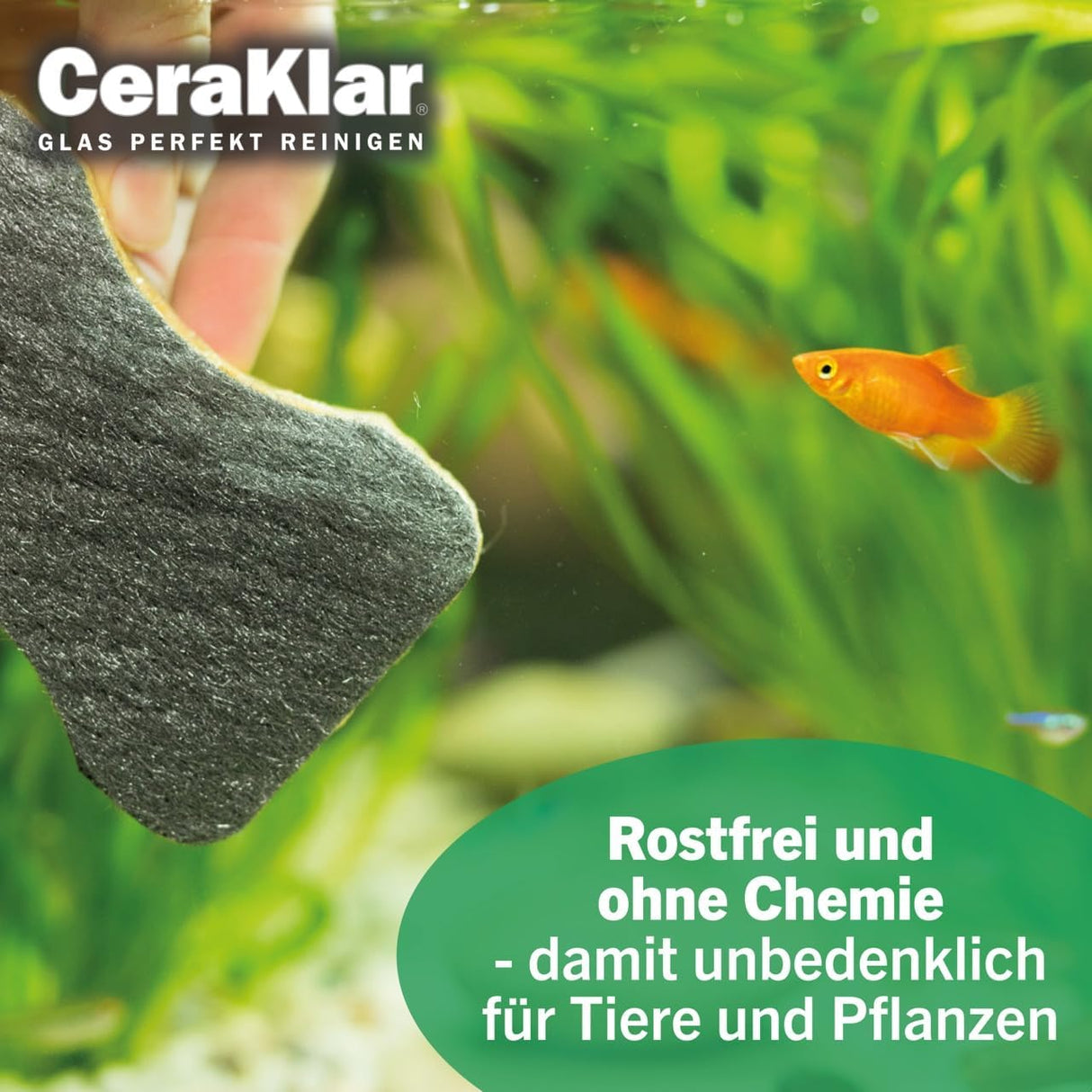 abrazo CeraKlar Aquarium Schwamm
