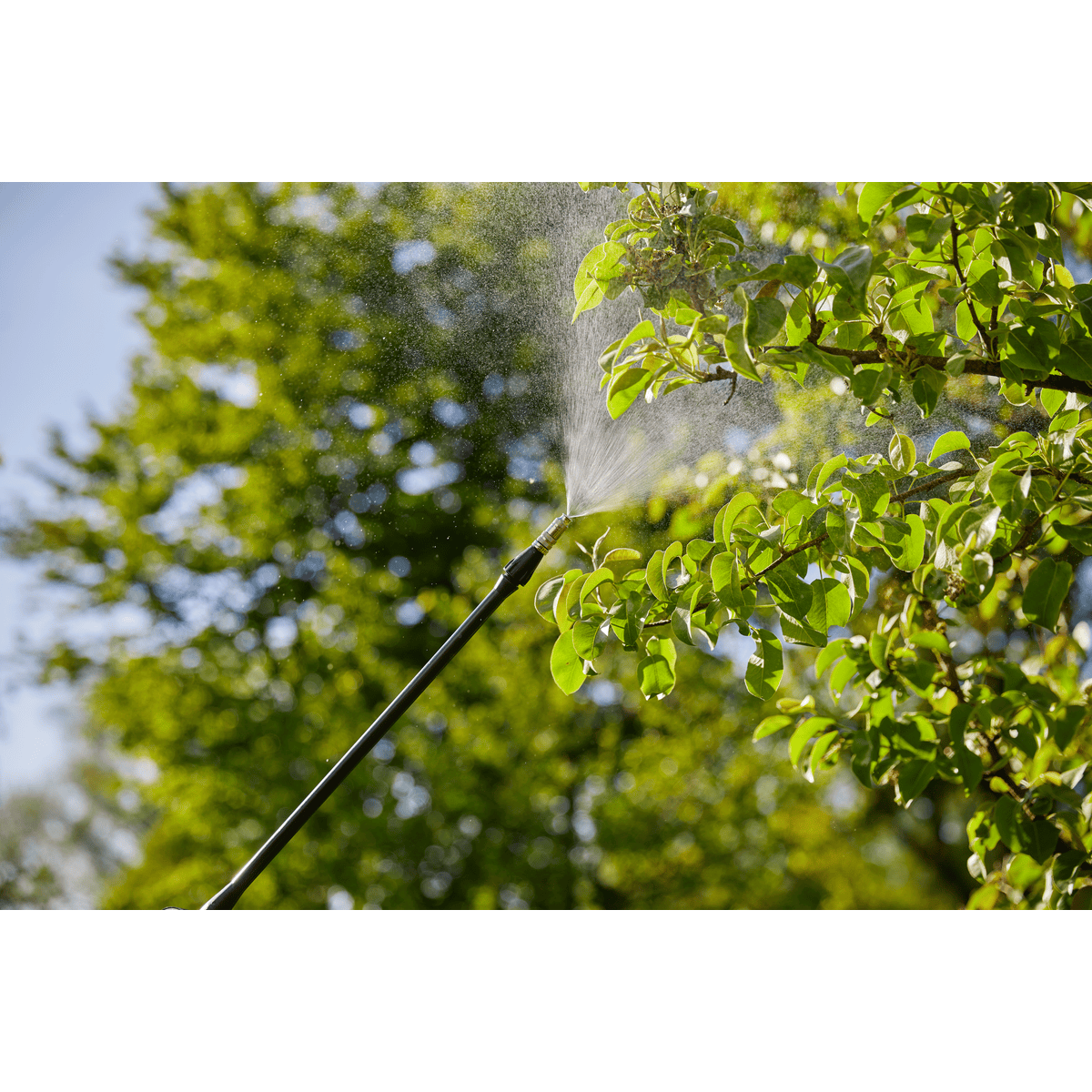Gardena Rückenspritzgerät 12 l Plus mit Manometer
