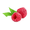 Zwei frische Himbeeren mit grünen Blättern auf weißem Hintergrund.