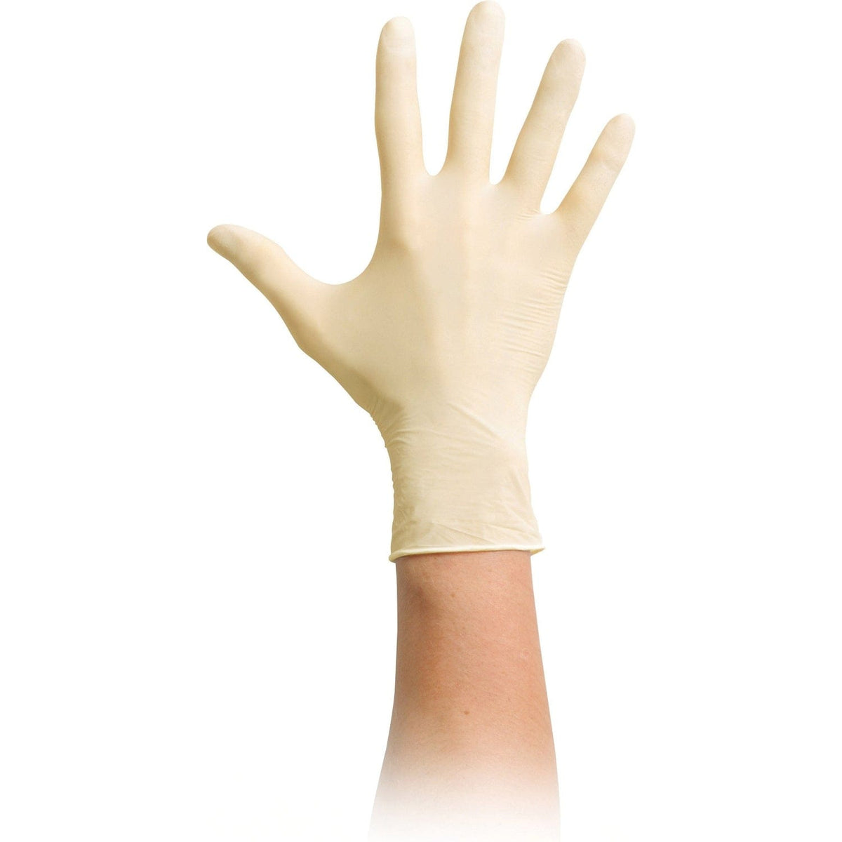 MaiMed grip Latex Einmalhandschuhe puderfrei – mundizio