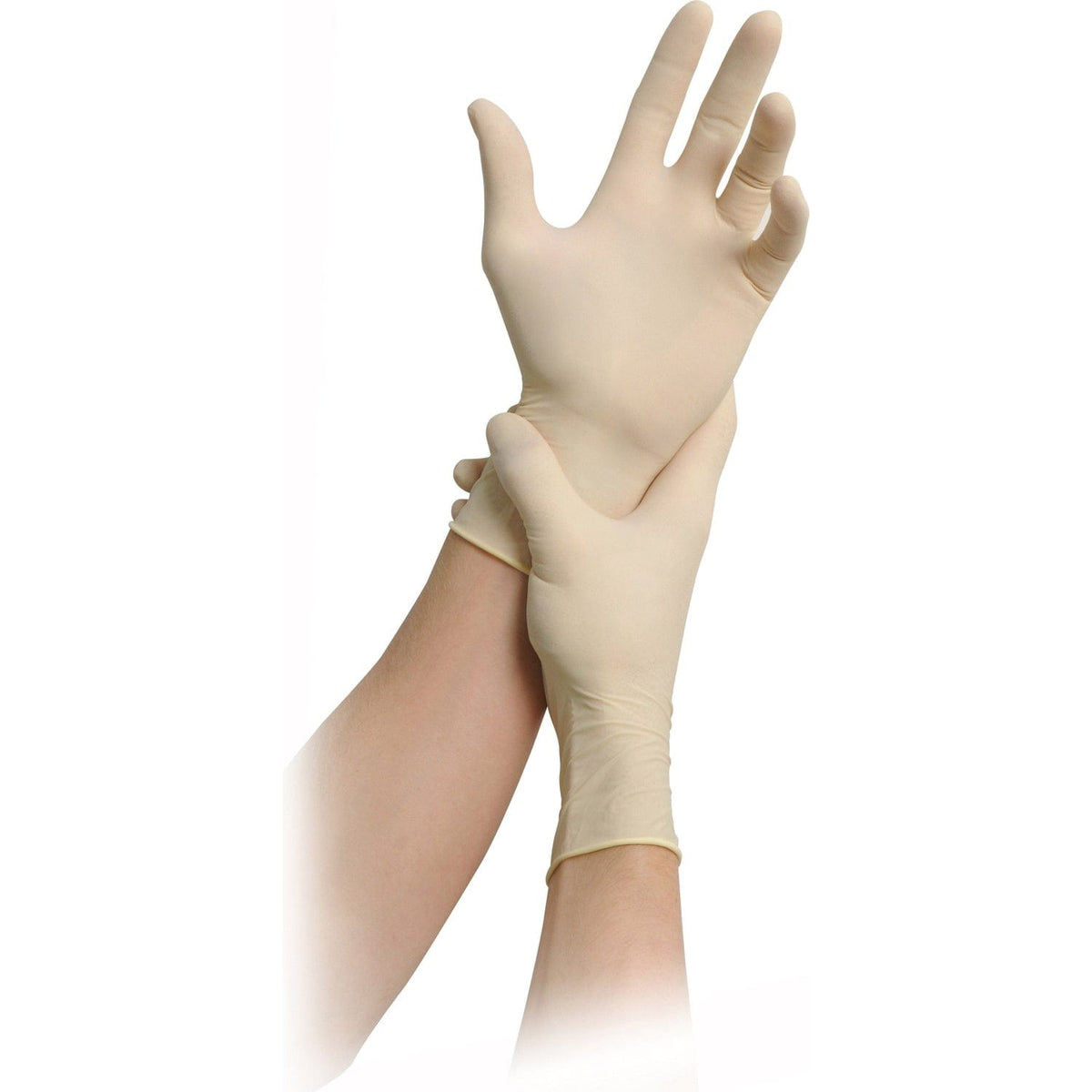 MaiMed soft Latex Einmalhandschuhe gepudert – mundizio