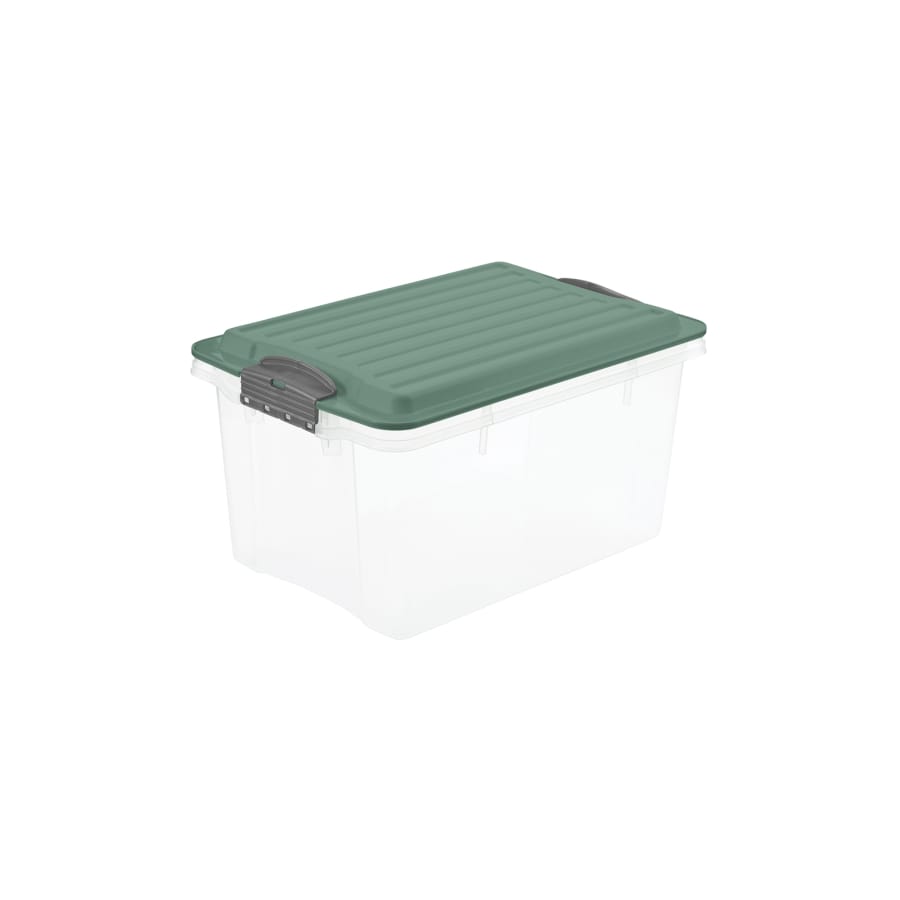 Rotho COMPACT Stapelbox A5 4,5 l, transparent/mistletoe green