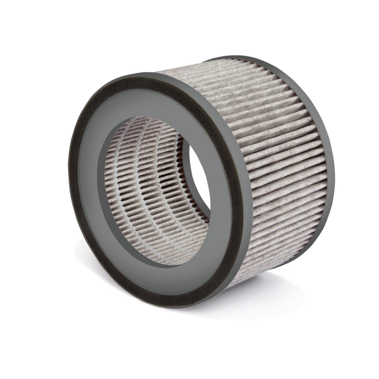 SOEHNLE Ersatzfilter AirFresh Clean 300