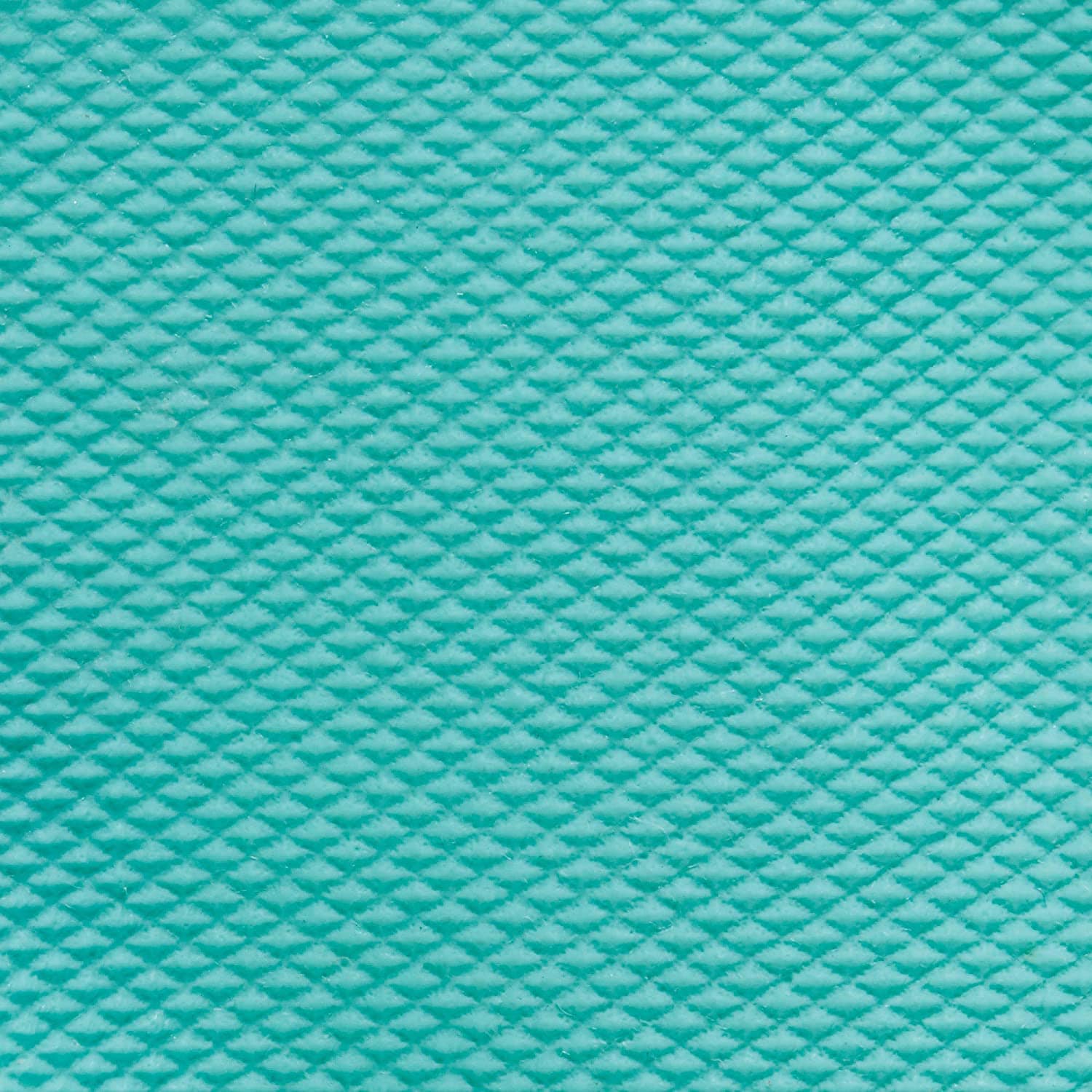 Spontex Handschuhe Daily Care