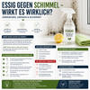 Essig gegen Schimmel – wirkt es wirklich? Anwendung, Grenzen & Sicherheit
