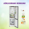 How to clean your refrigerator properly – tips and tricks