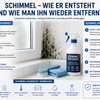 Schimmel - wie er entsteht und wie man ihn wieder entfernt!