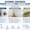 Schimmel erkennen: Schwarzer, weißer oder grüner Schimmel?
