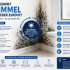 Warum kommt Schimmel immer wieder zurück?