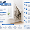 Schimmel von Tapeten entfernen - mit unserer Anleitung gelingt es!