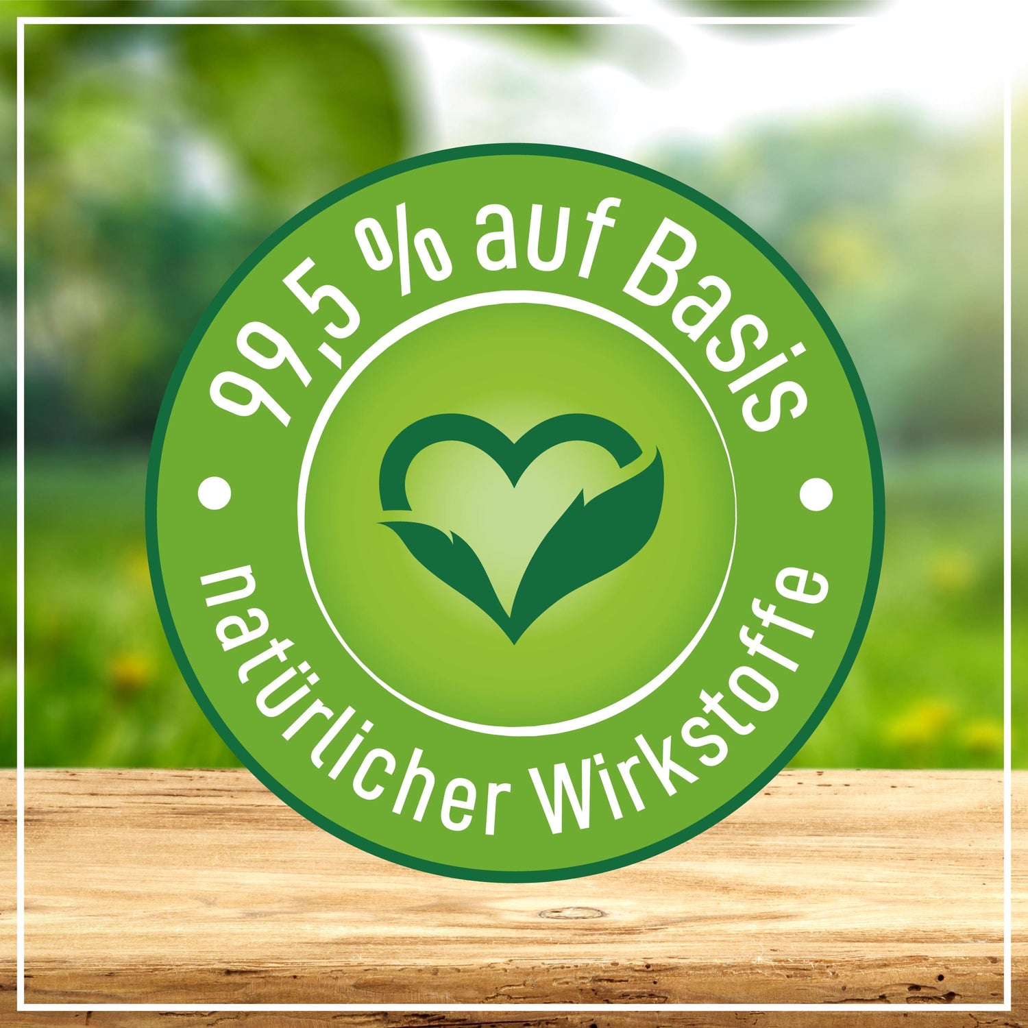 Poliboy Bio Boden Reiniger