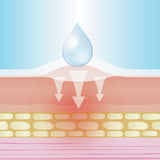 Lifemed Blasen-Pflaster transparent Groessen