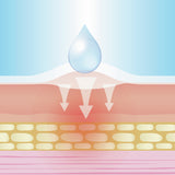 Lifemed Hühneraugen-Pflaster transparent Packung Rueckseite