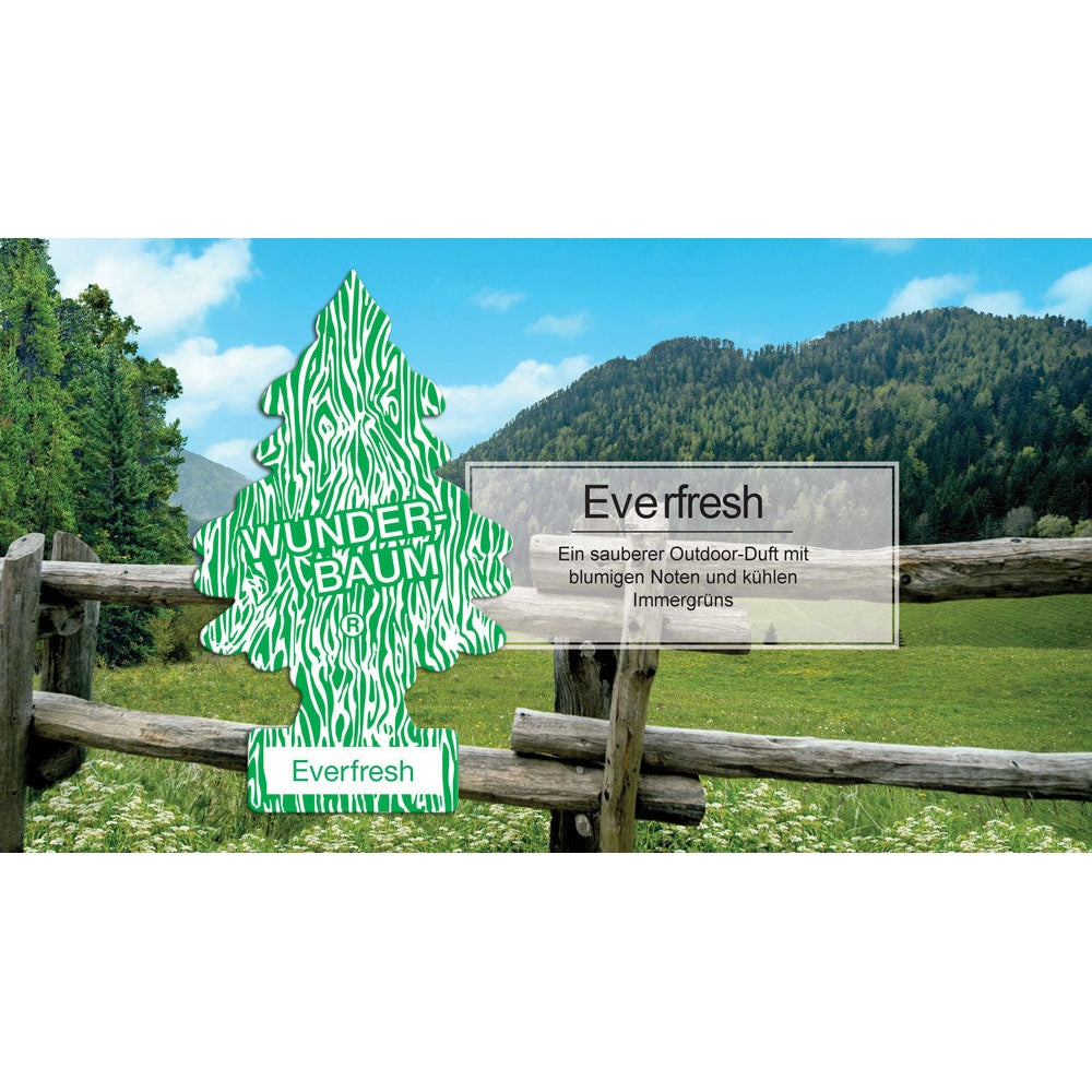 Wunderbaum Duftanhänger Everfresh