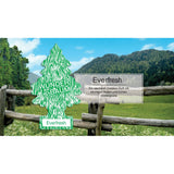 Wunderbaum Duftanhänger Everfresh