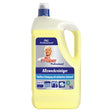 Meister Proper Professional Allzweckreiniger 5 Liter Zitrus