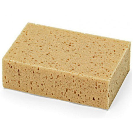 Allzweckschwamm