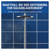 Antikal Professional Desinfizierender Kalkreiniger