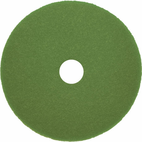 Arcora Reinigungspad Sunshine Multi No4, grün