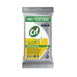 Cif Pro Formula Reinigungstücher Clean & Shine, gebrauchsfertig