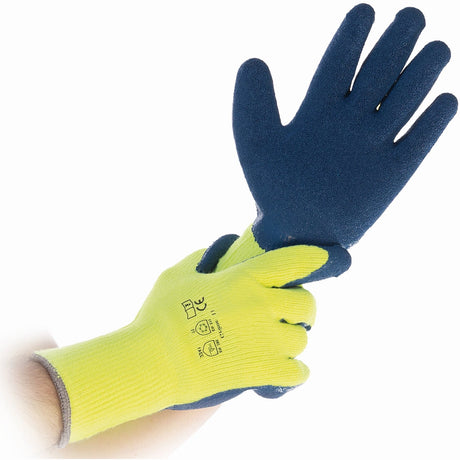 Hygostar® Winter Star Thermohandschuhe, latexbeschichtet 1 Karton (6 Packungen), 12 Paar, 72 Paar, Xl