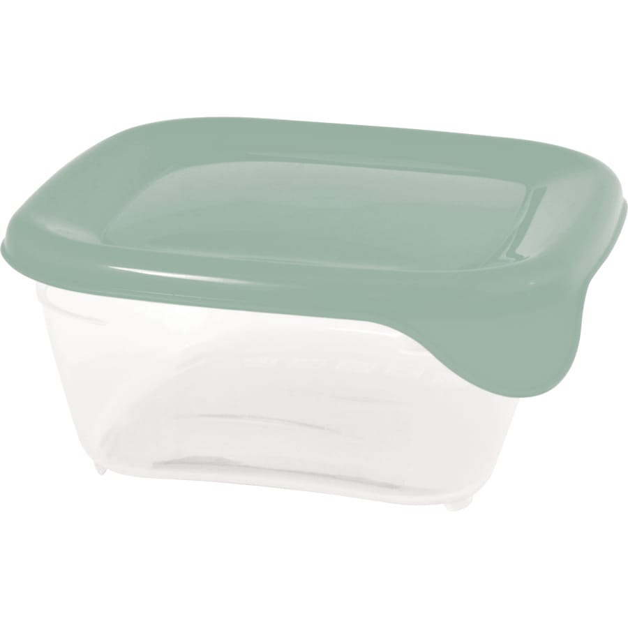 Keter FRESH&GO Frischhaltedose quadratisch, 0,25 Liter