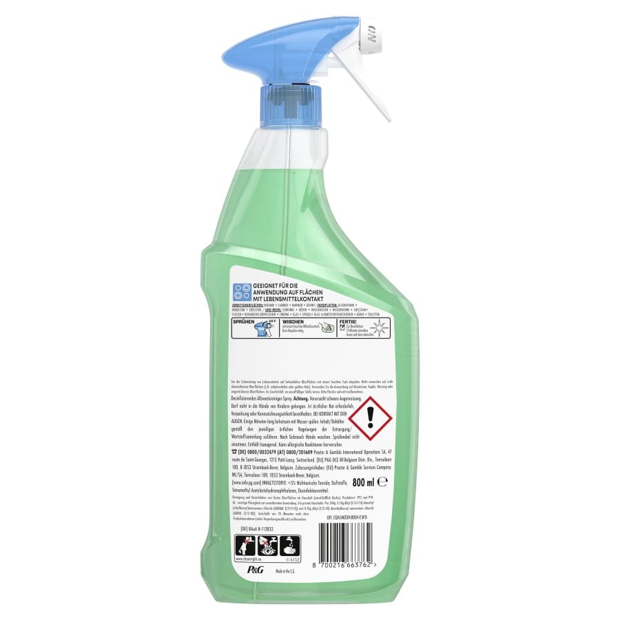 Meister Proper Sprühen-Wischen-Fertig Spray, Antibakteriell
