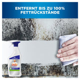 Mr. Proper Professional 2in1 Fettlöser, desinfizierend