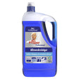 Mr. Proper Professional Allzweckreiniger Ocean 5 l Flasche