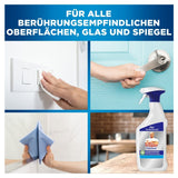 Mr. Proper Professional Oberflächenreiniger, desinfizierend