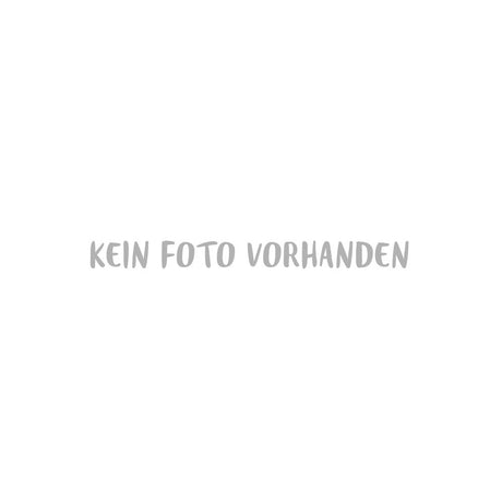 101031 Schraube K4x16 vz Kopf-dm 6,5 m SPRiNTUS