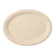 Papstar Pure Einwegteller, Zuckerrohr, oval 26 x 20 cm