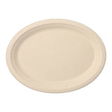 Papstar Pure Einwegteller, Zuckerrohr, oval 26 x 20 cm