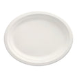 Papstar Pure Einwegteller, Zuckerrohr, oval 32 x 25,5 cm 1 Packung (50 Stück)