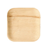 Papstar Pure Teller Palmblatt, eckig 1 Packung (25 Stück), 18 x 18 x 1,5 cm