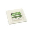 Papstar Teller Zuckerrohr, eckig 15,5 cm, stabil