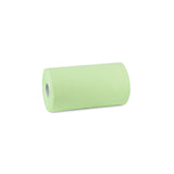 Rollenhandtuchpapier, 2-lagig, hellgrün, perforiert