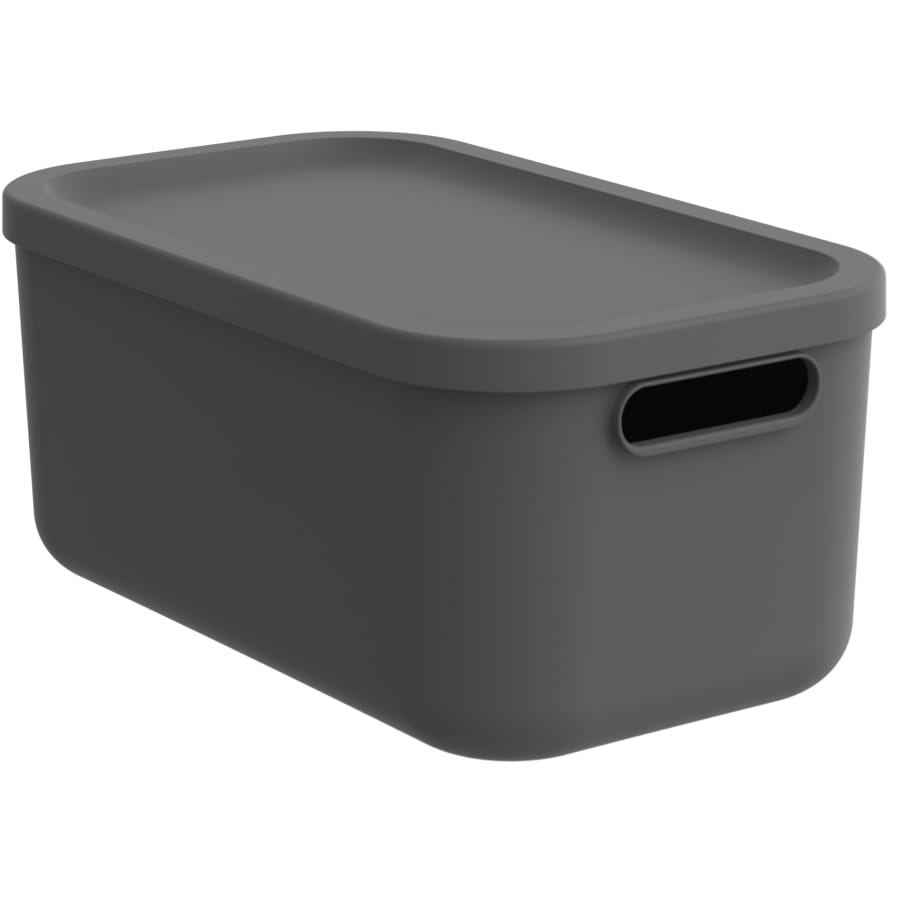 Rotho ALBULA LIGHT Box 12 Liter, anthrazit