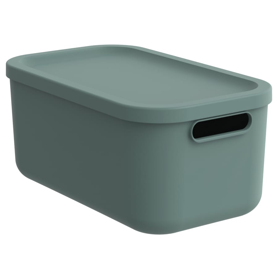 Rotho ALBULA LIGHT Box 12 Liter, mistletoe green