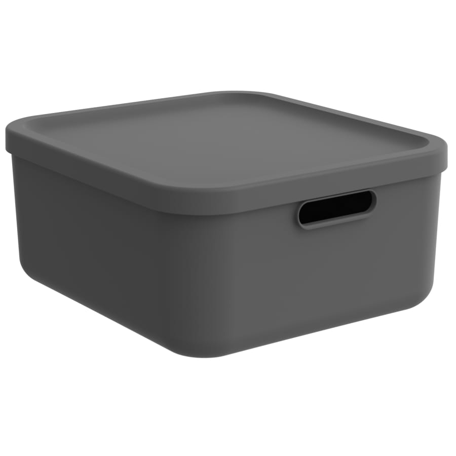 Rotho ALBULA LIGHT Box 20 Liter, anthrazit