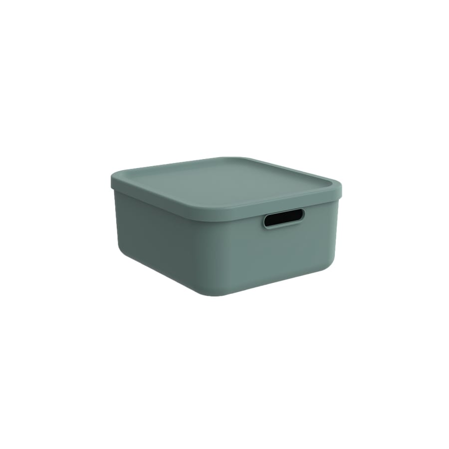 Rotho ALBULA LIGHT Box 20 Liter, mistletoe green