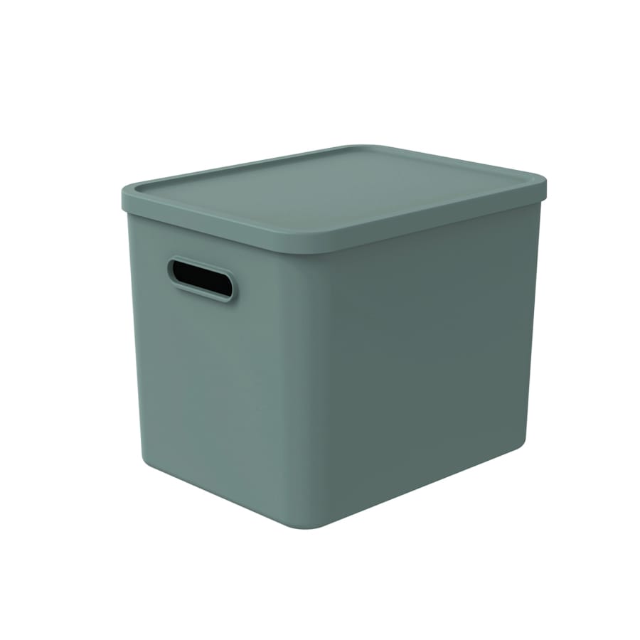 Rotho C4 ALBULA Aufbewahrungsbox, 27 Liter mistletoe green