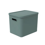 Rotho C4 ALBULA Aufbewahrungsbox, 27 Liter mistletoe green