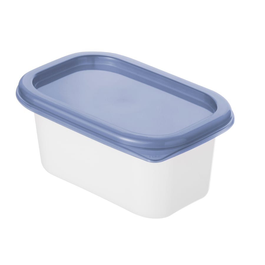 Rotho DOMINO Gefrierdosen, 4er-Set 4 x 200 ml