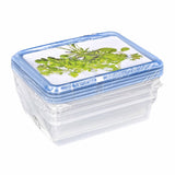 Rotho RONDO Frischhaltedosen-Set Kräuter-Set, 4 x 0,2 Liter