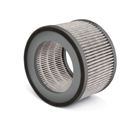 SOEHNLE Ersatzfilter AirFresh Clean 300