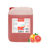 Solution Sanisol 4.0 Sanitärreiniger-Konzentrat "Sweet Grapefruit"
