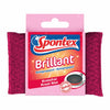 Spontex Brillant Reinigungspad