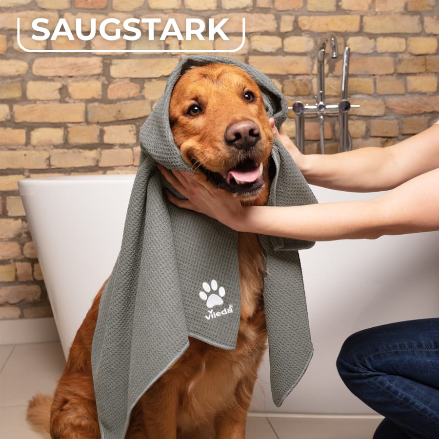 Vileda Pet Pro Set Reinigungsset für Tierhaushalte